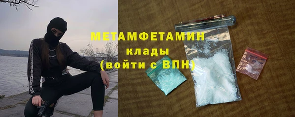 трава Белокуриха