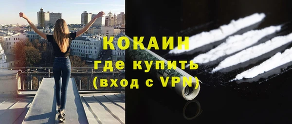 трава Белокуриха