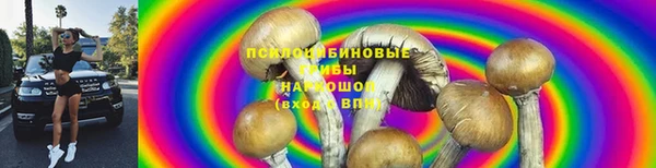 ПСИЛОЦИБИНОВЫЕ ГРИБЫ Беломорск
