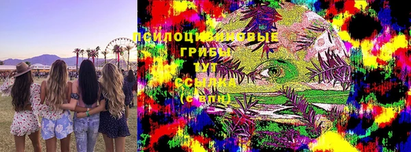 ПСИЛОЦИБИНОВЫЕ ГРИБЫ Беломорск