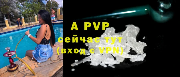 трава Белокуриха