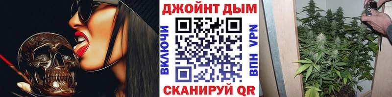 купить   Оха  Бошки марихуана сатива 